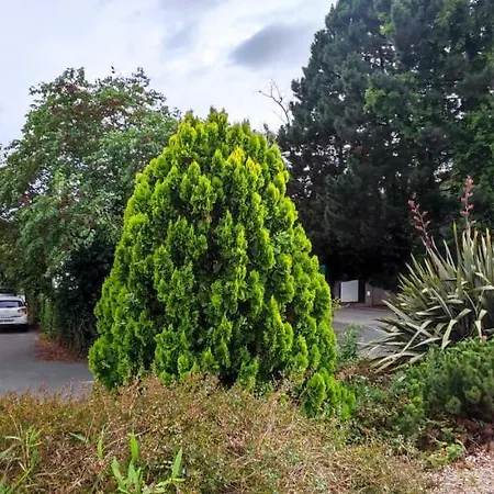 منزل للإقامة Chez L'habitante 